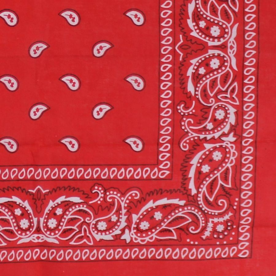 2 Pack Paisley Bandanas Head Wrap Scarf Wrist New Black White Red Navy Cheap